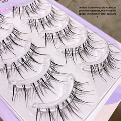 M08 Fairy-Style Thai Sunflower False Eyelashes – Natural Look with Ultra-Fine Clear Band