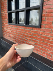 Eco-Friendly Rice Husk Bowl | Sustainable, Microwave & Dishwasher Safe Serving Bowl