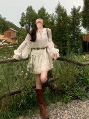 Elegant A-Line Ruffled Long Sleeve Dress