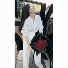 Elegant Plus Size White Two-Piece Set – Flattering Shirt & Pants for Women