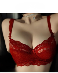 Red Lace Minimizing Bra and Panty Set Ultra Thin Elegant Lingerie