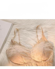 Jacquard Lace Back Beauty Padded Camisole Top